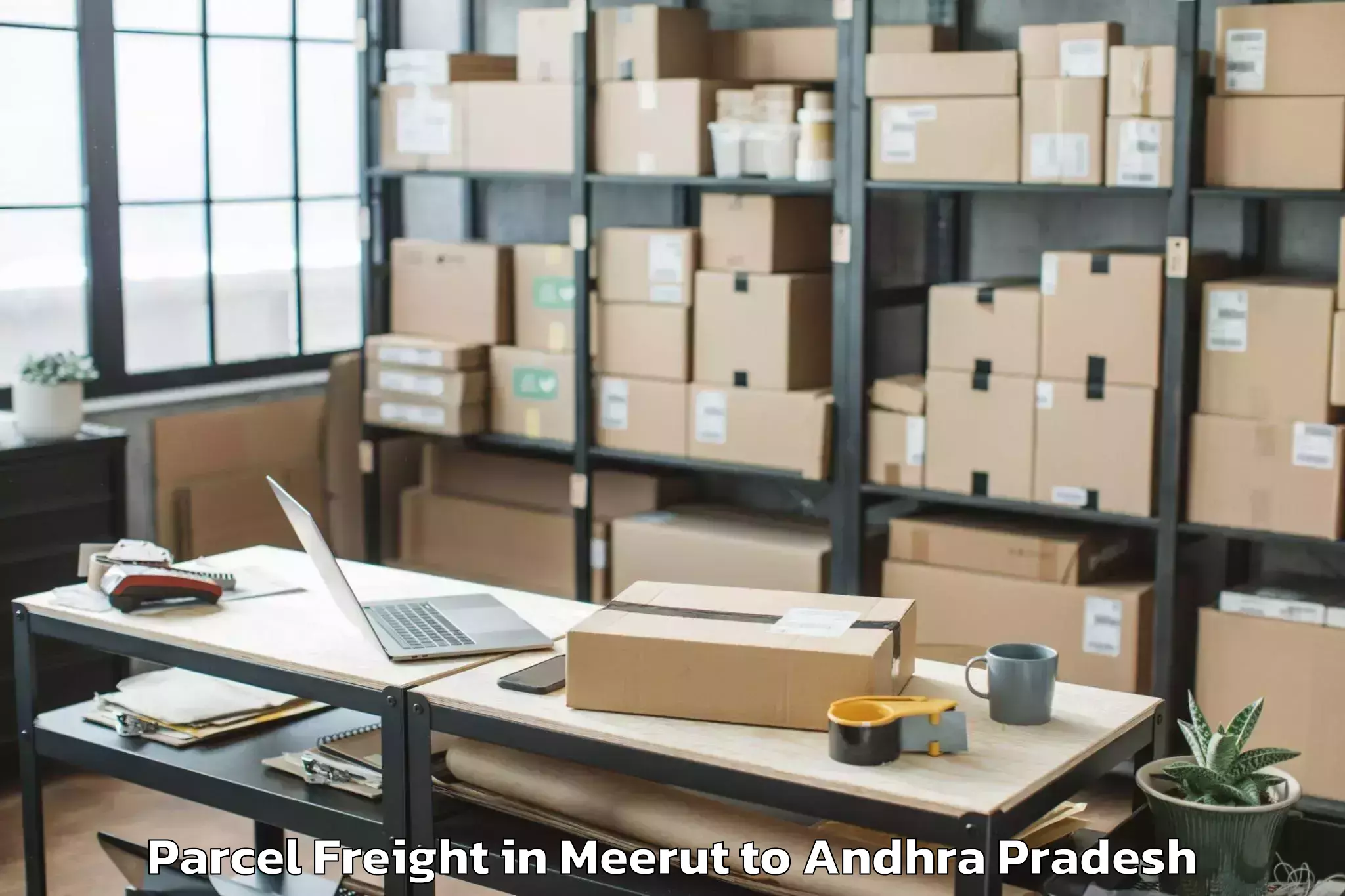 Quality Meerut to Pamuru Parcel Freight